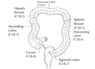 Colon - AJCC Cancer Staging Atlas, Second Edition